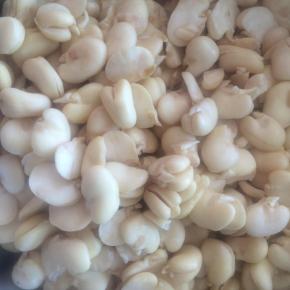 去皮蚕豆清洗干净。