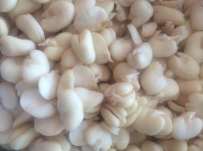 去皮蚕豆清洗干净。