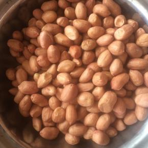 生花生最好选用颗粒比较小的，大小均匀的。