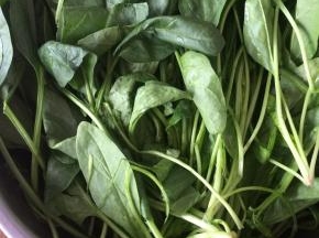 菠菜清洗干净。