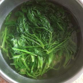 焯烫好的菠菜，过凉水。