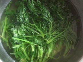 焯烫好的菠菜，过凉水。
