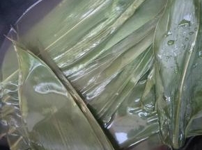 水烧热后放入新鲜粽叶，加盐焯水，烫2分钟后捞出。（重点：水不用烧开，烧至不断冒气泡，80-90度的样子即可。放入粽叶后就关火，不用一直煮。菜场可购买新鲜粽叶，如果你用的是干粽叶，可以先用用凉水浸泡5小时左右，然后放入开水中煮5—10分钟，以增强粽叶的韧性。）