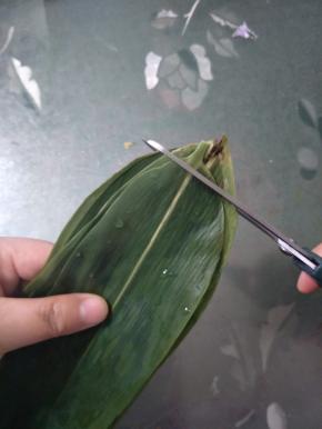 剪去粽叶前端的梗，放盘中备用。