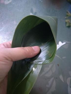 取两片粽叶，重叠中部。两手用食指和中指夹住粽叶，向内弯曲成圆锥状。
