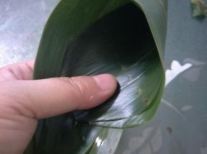 取两片粽叶，重叠中部。两手用食指和中指夹住粽叶，向内弯曲成圆锥状。