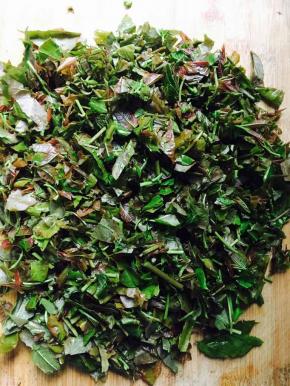 香椿芽去掉根部，洗净切碎末。