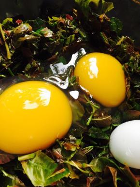 打入鹅蛋调成糊。