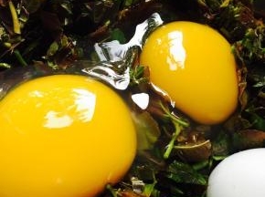 打入鹅蛋调成糊。