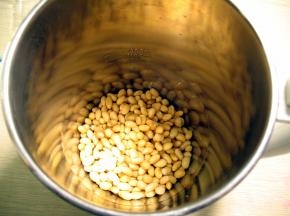 泡好的黄豆放入豆浆机中