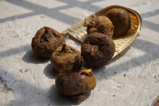 感觉还是挺不错的