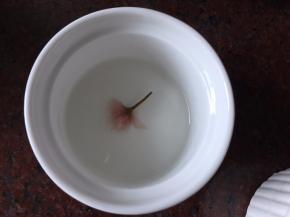 将煮好的白凉粉放入烤碗中，放入泡发后的樱花，用牙签挑出花型