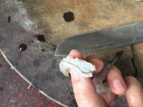 背部虾线也去除