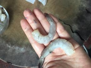 虾仁去虾线