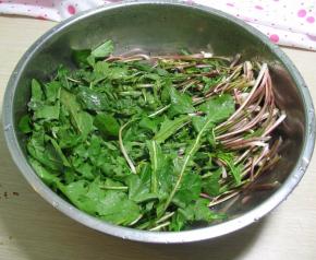 婆婆丁洗干净,根部有浆,会沾上泥水,不太容易洗掉,要注意