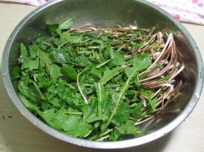 婆婆丁洗干净,根部有浆,会沾上泥水,不太容易洗掉,要注意