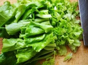 自己种的生菜，洗净切丝