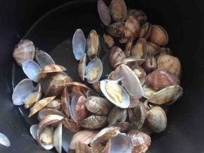 然后选取不开口的和有泥巴的（我买的这些都很新鲜，都没有不开口的和泥巴的哦）