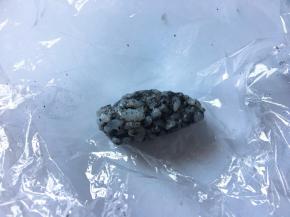 再捏小小的四个饭团做龙猫的胳膊和腿。