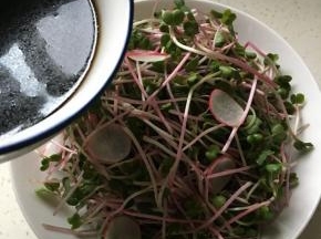 拌好的汁倒入盘中