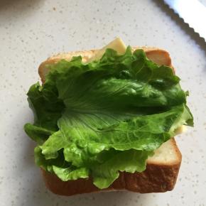 先铺上芝士，再铺上生菜叶
