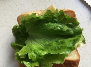 先铺上芝士，再铺上生菜叶