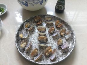 选取开口没有泥巴的花甲放入盘里（但是我买的花甲都很新鲜，都是开口没有泥巴的）