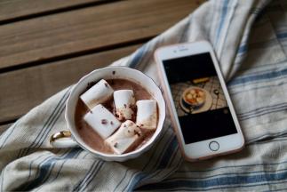 削入巧克力屑装饰即可