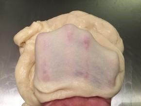 揉成有薄膜的光滑面团