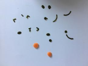 海苔和胡萝卜剪出眼睛鼻子和脚丫的形状。
