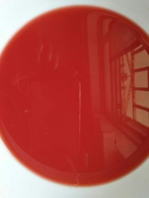 西瓜去皮去子切小块，榨汁然后过滤