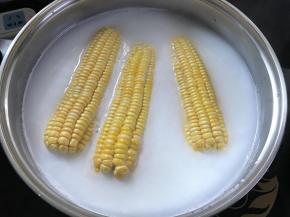 2、放入锅中加入差不多能淹没玉米的水后加入牛奶，再加入盐。