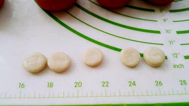 同样的方法取下的白色面片。