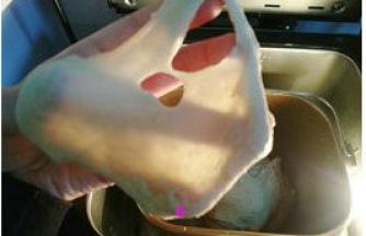 第二个揉面程序结束后，可以抻出透明不结实的薄膜，此时已到扩展阶段。