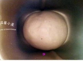 盖上面包桶盖子，启动“发酵”功能，进行第一次发酵。