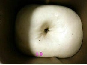 我的面包机自带的发酵时间大概2个多小时。现在天气热，可以随时检查面团发酵情况，看到面团发至原体积两倍大，用手在面团戳个洞，洞口不回缩，表示发酵到位。
如果周围面团迅速塌陷，则面团发酵过度，无法继续下去。可以留做老面来用。