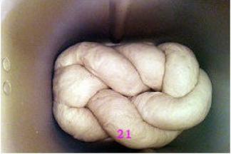 取出面包桶内的搅拌棒，把面团放进面包桶内。盖上盖子，启动发酵功能