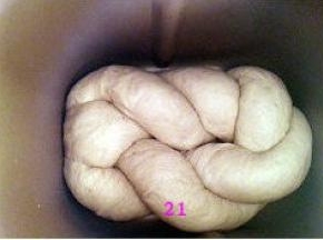 取出面包桶内的搅拌棒，把面团放进面包桶内。盖上盖子，启动发酵功能