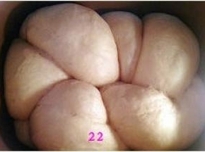 面团发酵至桶内九分满，轻按面团表面，可以缓慢回弹即可。