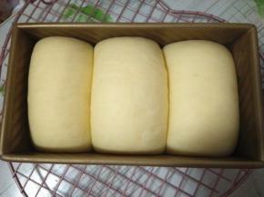 放入烤箱（内放碗热水）发酵至模具九分满；