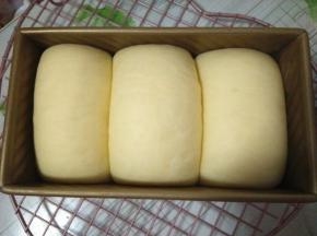 放入烤箱（内放碗热水）发酵至模具九分满；