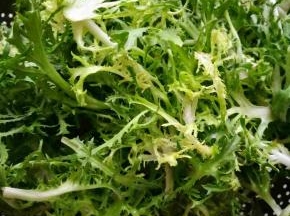 洗干净捞出沥干