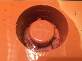 准备一个硅胶堡尔美克模，干玫瑰花捏碎，随意放入模具内