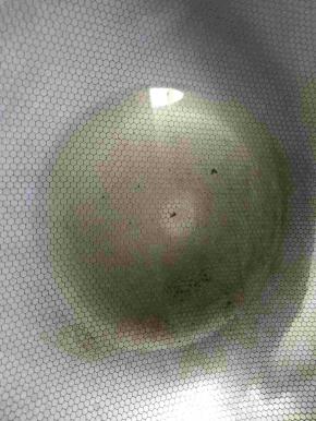 锅中放适量的油，把花椒放入，炸出香味后，捞出花椒不要