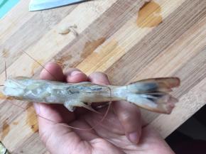 用小刀划开虾肚，剔除虾线