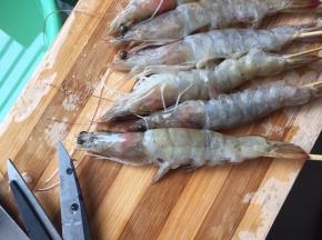 然后剪去虾须和虾枪