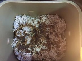 中途10分钟后加入调料，再继续搅伴直至整个程序完成即可