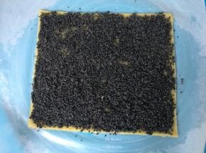 黑芝麻馅料涂满面片。
