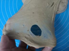 取出面团，检查下能拉出大片薄膜，破洞的边缘光滑。