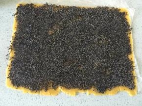 将黑芝麻馅平均地铺到面团上，压平表面